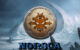 Norsca e gli indomiti guerrieri del Nord